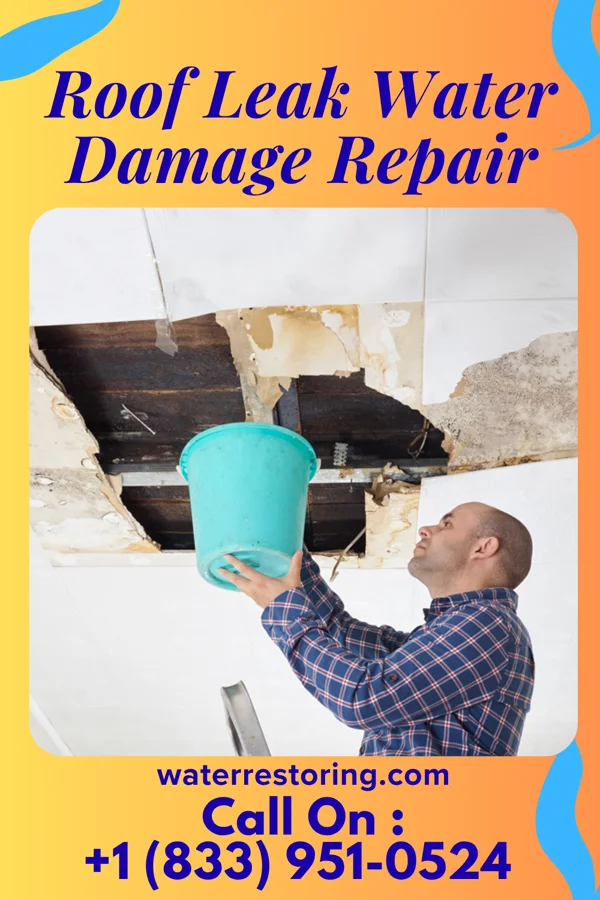 Roof Leak Water Damage Repair in Mission Hill, SD